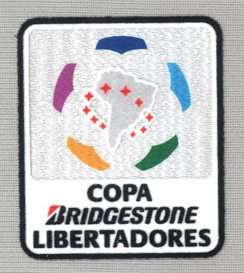 Copa Libertadores 2013 parche general